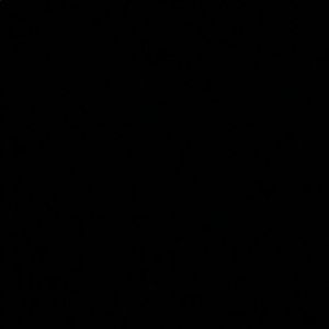 Meet your Posher, Geneva